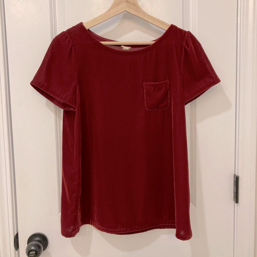Ann Taylor Loft Velvet Short Sleeve Top